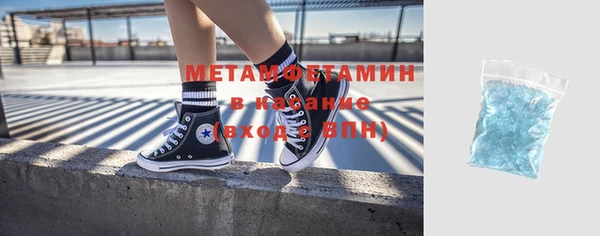 шишки Аркадак