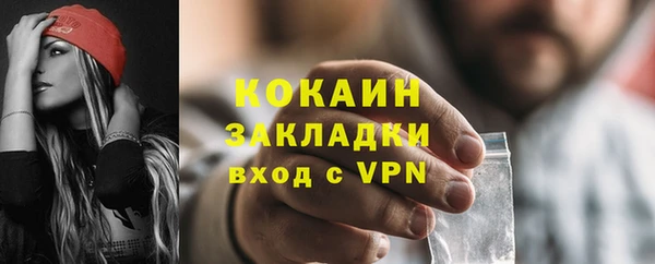 шишки Аркадак