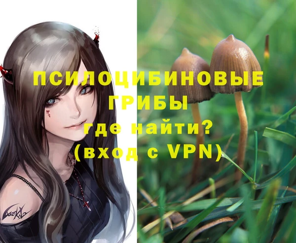 ALPHA-PVP Арсеньев