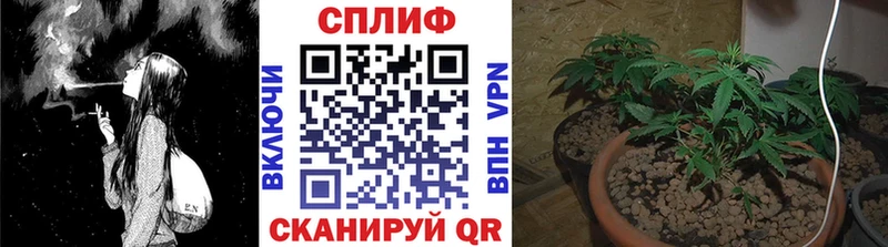 Марихуана SATIVA & INDICA  ссылка на мегу рабочий сайт  Минеральные Воды 